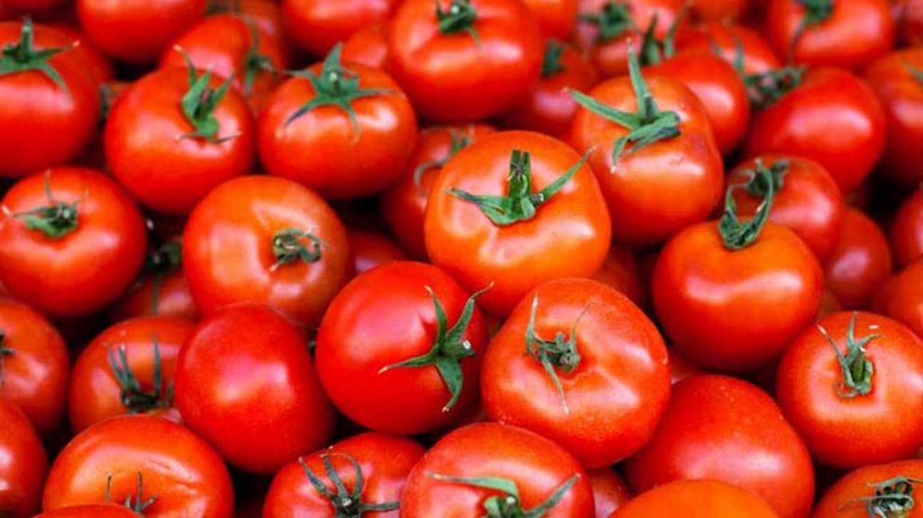 tomates Moncloa