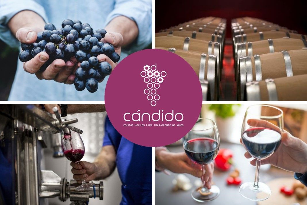 MULTINIVEL IBÉRICA obtiene el certificado de Calidad Empresarial CEDEC como reconocimiento por su gestión 1 Moncloa 1637923940 CEDECMultinivel Iberica Vinos C ndido Moncloa