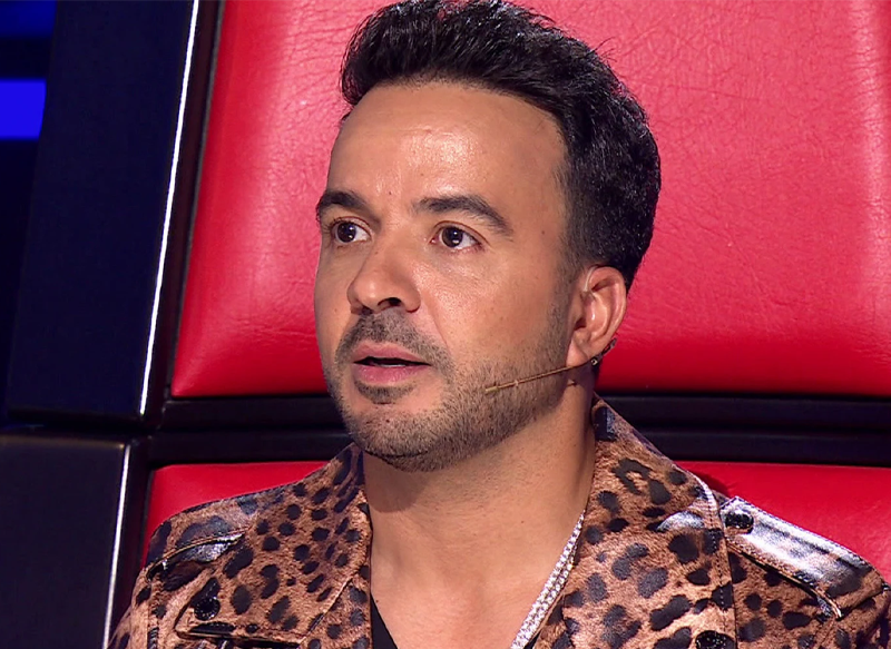 EL EQUIPO DE LUIS FONSI
