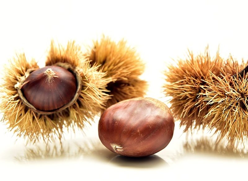 VALOR NUTRICIONAL DE LAS CASTAÑAS