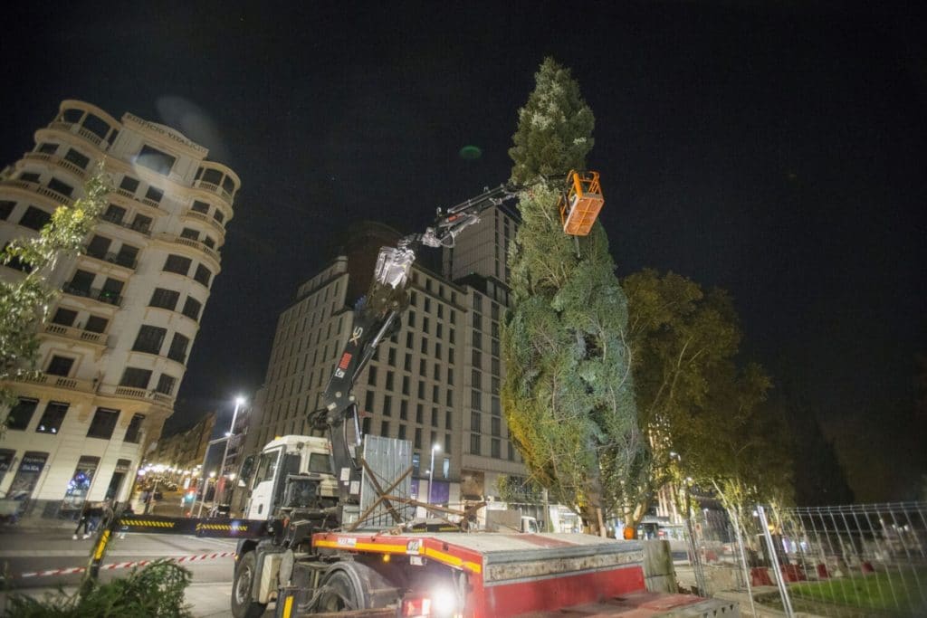 Madrid se gasta 3,6M€ en decoración navideña para hacerle la competencia a Manhattan 1 Moncloa abeto plaza espana navidad 2021 1024x683 1 Moncloa