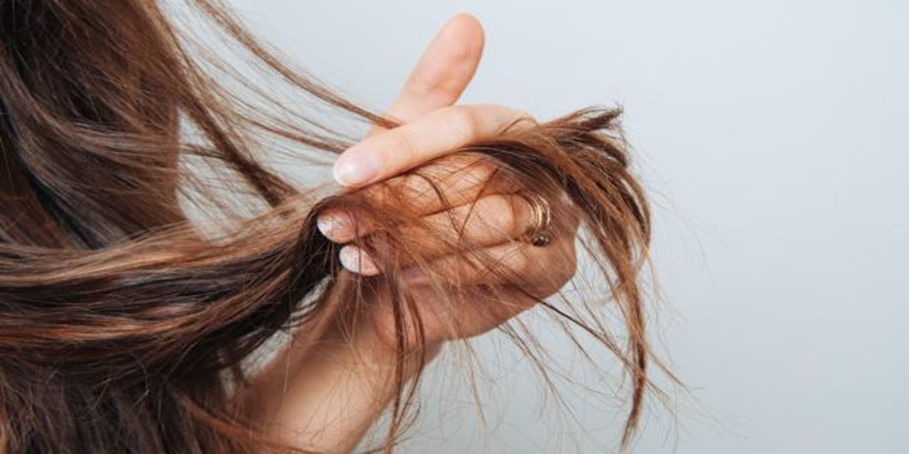 consejos cabello sano