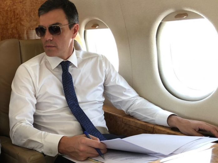 falcon pedro