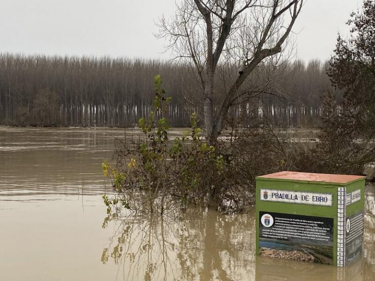 El Colegio de Geólogos propone soluciones basadas en la naturaleza para controlar inundaciones