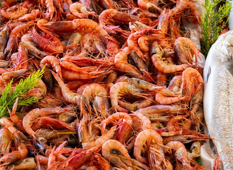 INGESTA EXCESIVA DE CADMIO CON LOS LANGOSTINOS EN NAVIDAD