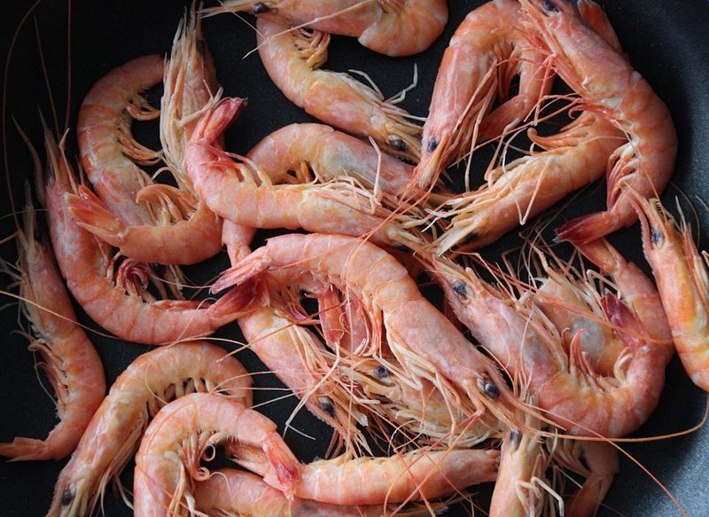 REACCIÓN ALÉRGICA A MARISCOS Y PESCADO