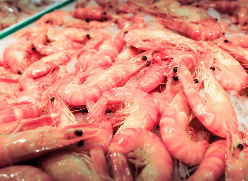 INTOXICACIONES ALIMENTARIAS EN NAVIDAD POR LANGOSTINOS Y MARISCO CONTAMINADO