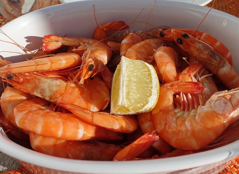 LOS LANGOSTINOS, UNA FUENTE DE PROTEÍNAS Y VITAMINAS