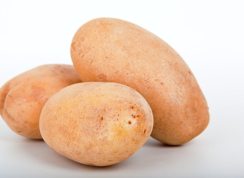 RIESGO DE ALTA CONCENTRACIÓN DE GLICOALCOIDES DE LAS PATATAS