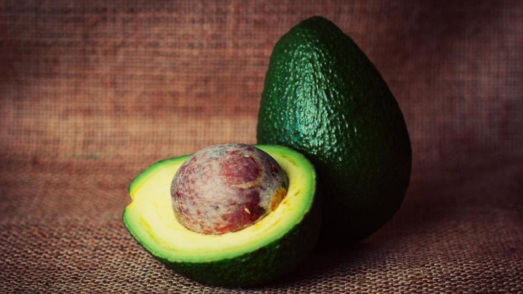 aguacate superalimento