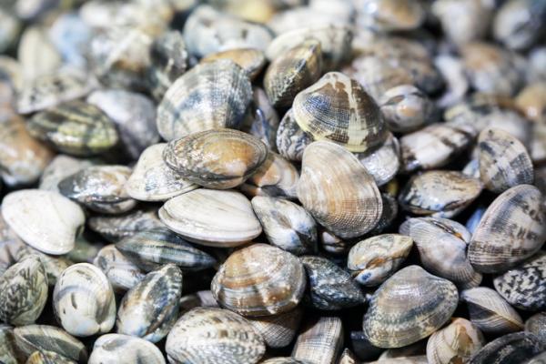 descongelar marisco crudo