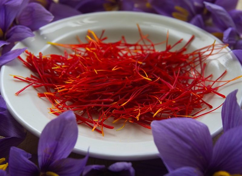 EL AZAFRÁN, UN INGREDIENTE BÁSICO DE LA PAELLA