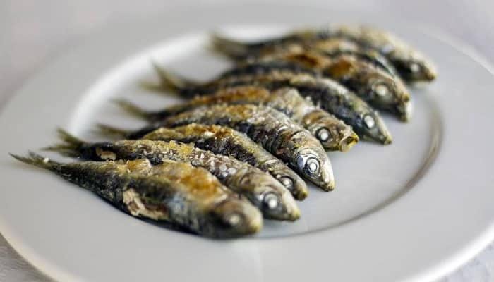 Arenque y sardinas Moncloa