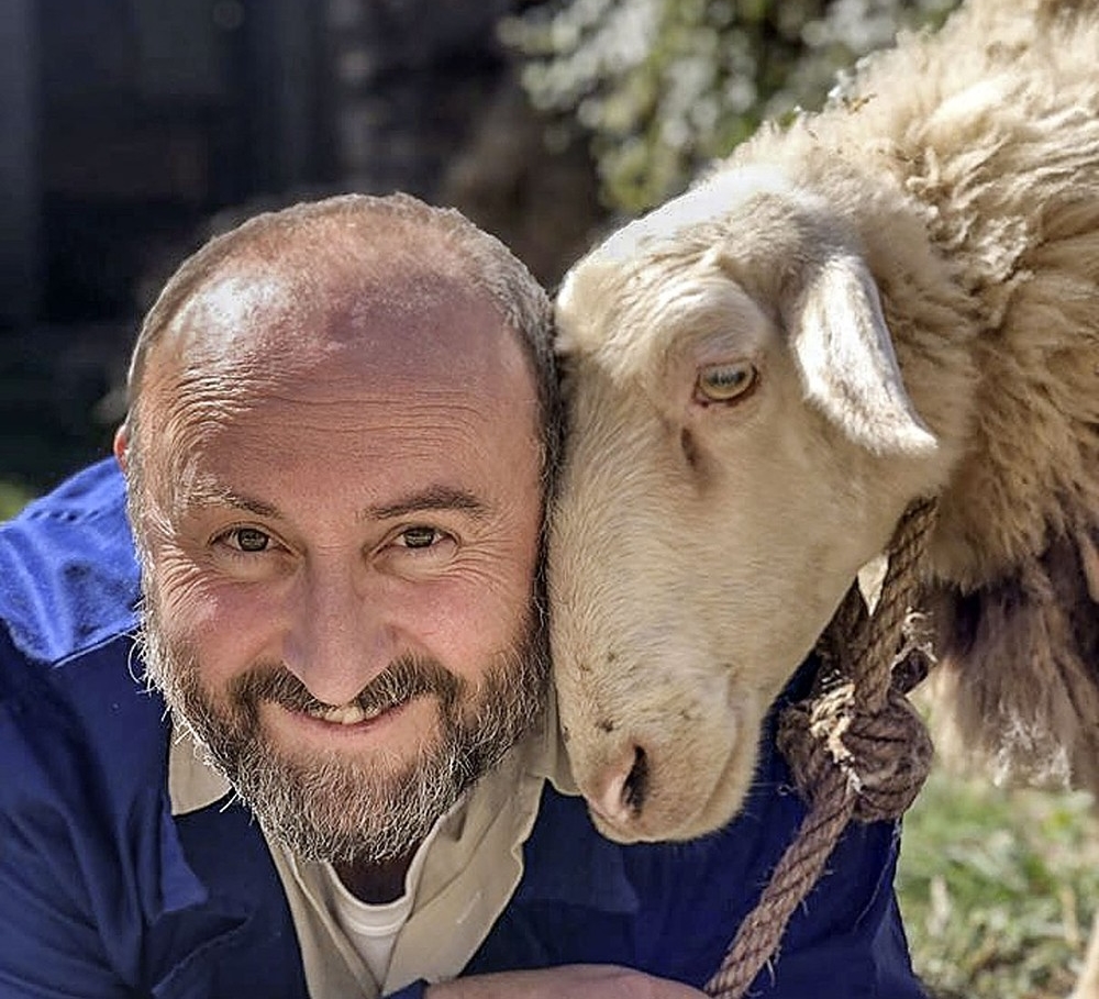 el ovejas tierras
