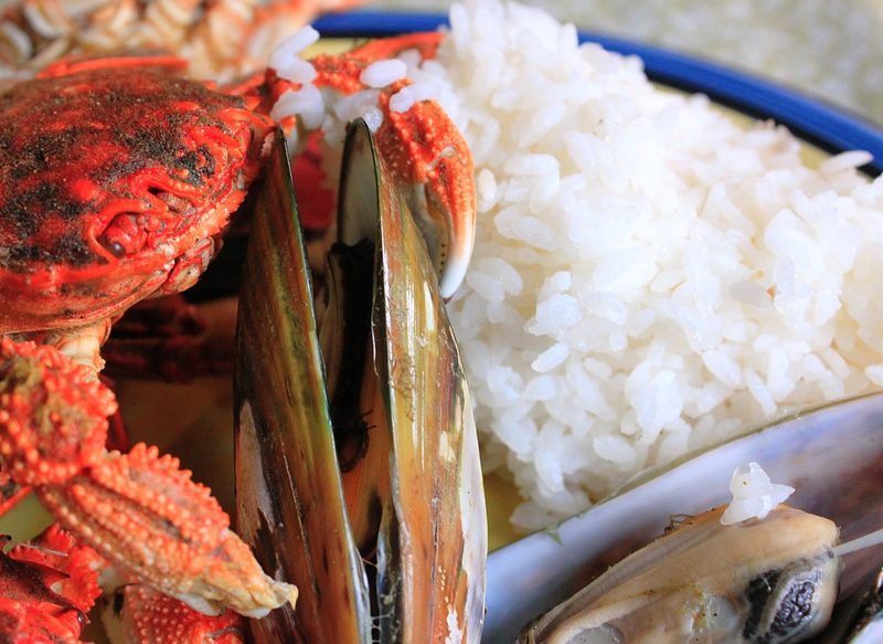LAS EXCELENTES PROPIEDADES DEL ARROZ