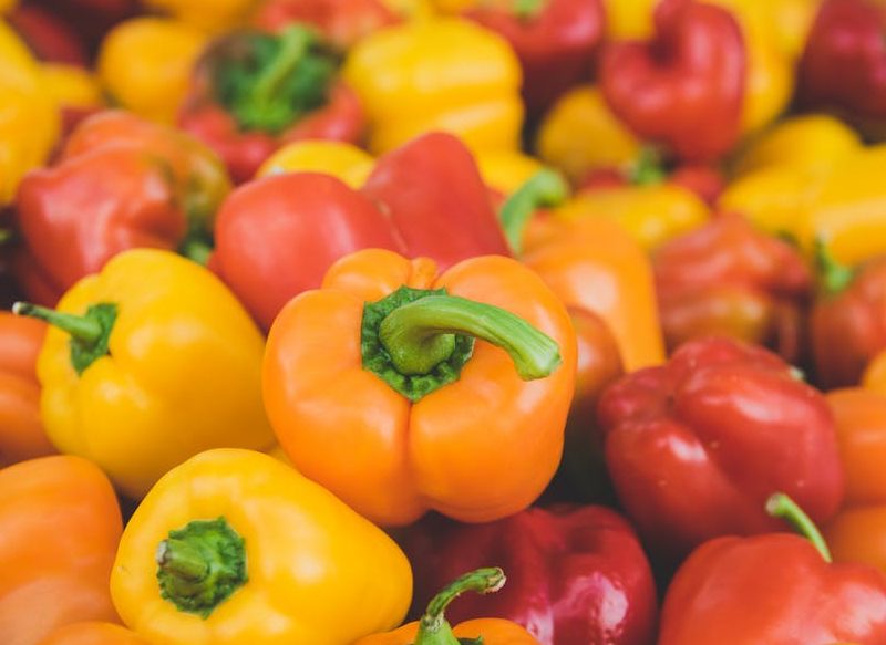 MÚLTIPLES BENEFICIOS DE LOS PIMIENTOS