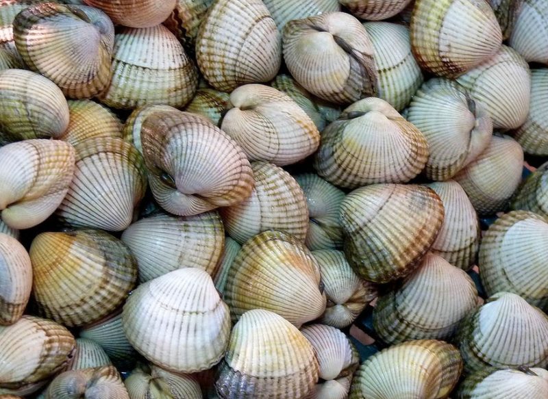 CÓMO ELABORAR LOS BERBERECHOS A LA SIDRA