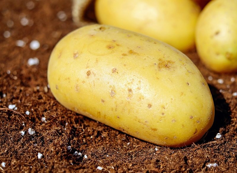 PATATAS AL MICROONDAS, LA MEJOR ALTERNATIVA A LAS FRITAS