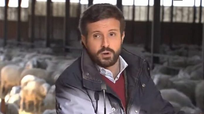 Casado