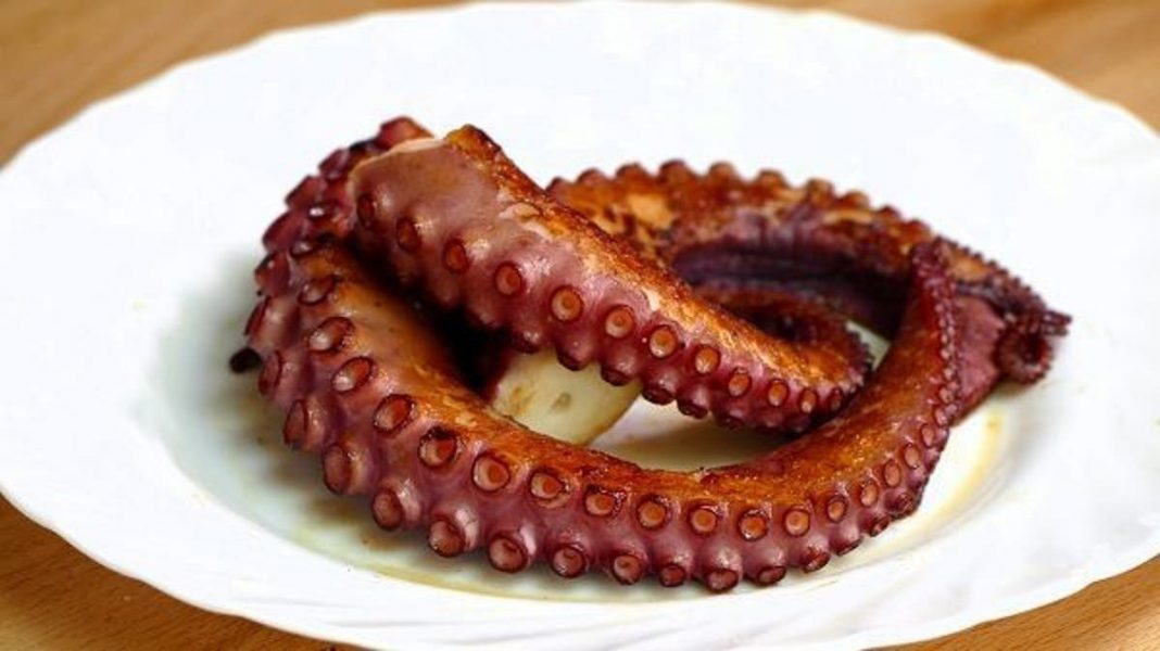 pulpo dieta