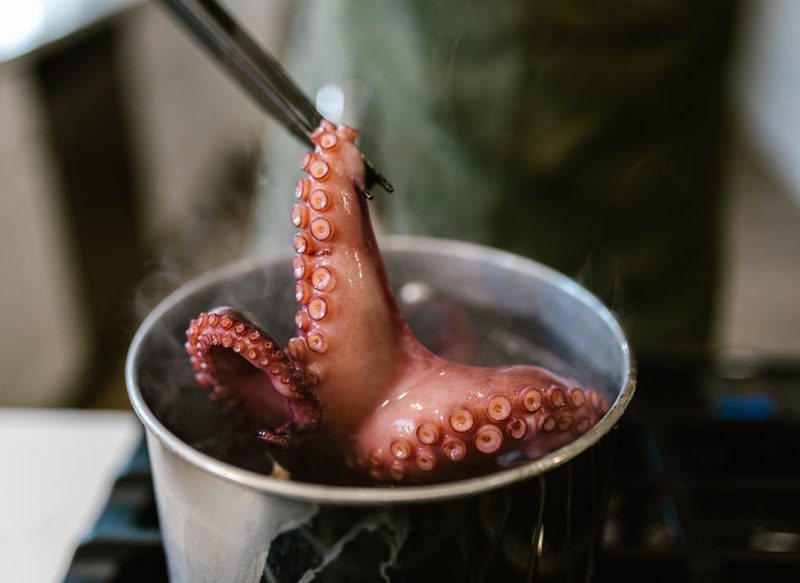 EL PULPO AL HORNO AYUDA A PERDER GRASA Y GANAR MÚSCULO