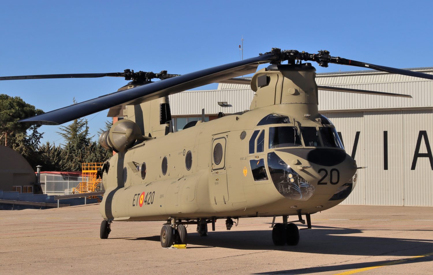 chinook