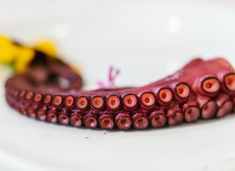 MARIDAJE DEL PULPO AL HORNO