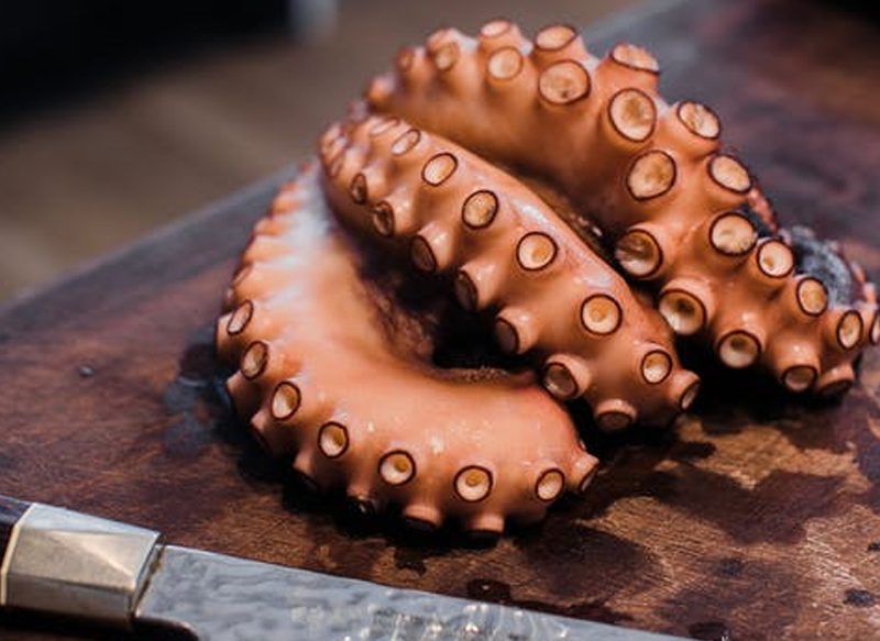 UN SUPERALIMENTO PROTEICO Y ANTIINFLAMATORIO