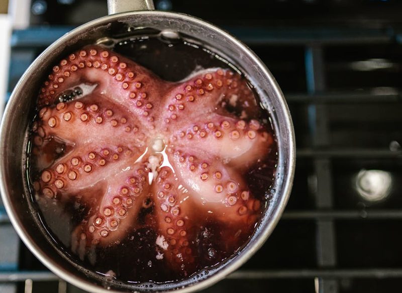 CONTINUANDO CON LA RECETA