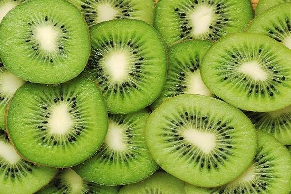 kiwi Moncloa