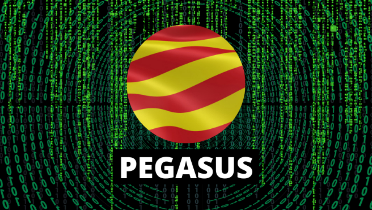 pegasus