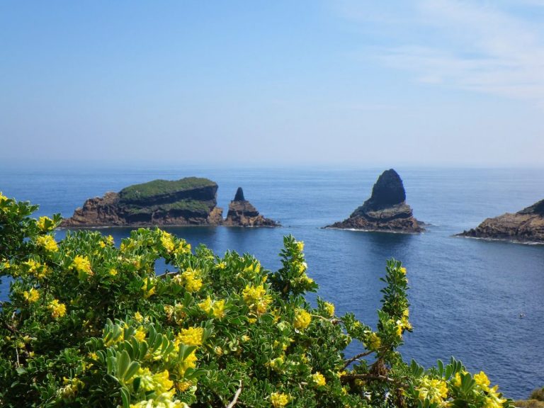 Conoce la exclusiva isla española que solo permite visitas guiadas
