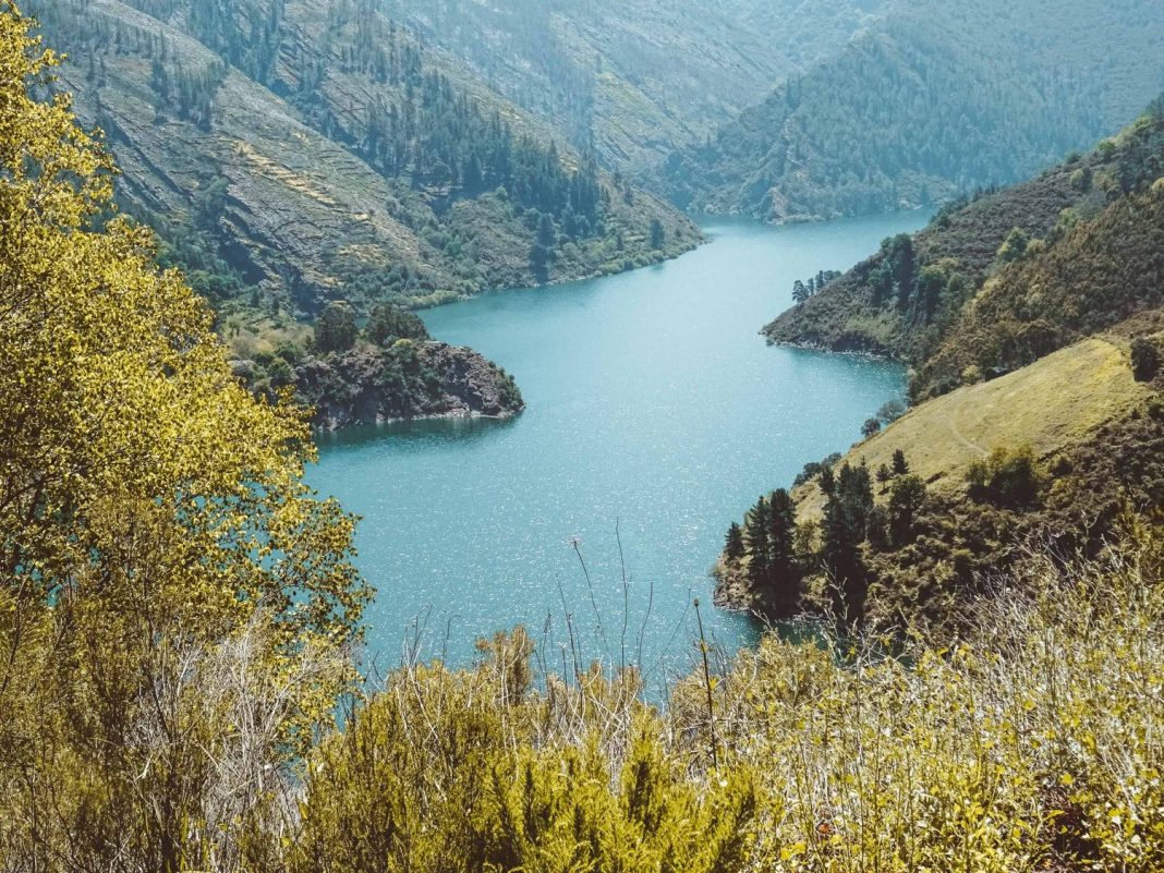 Camino de Santiago