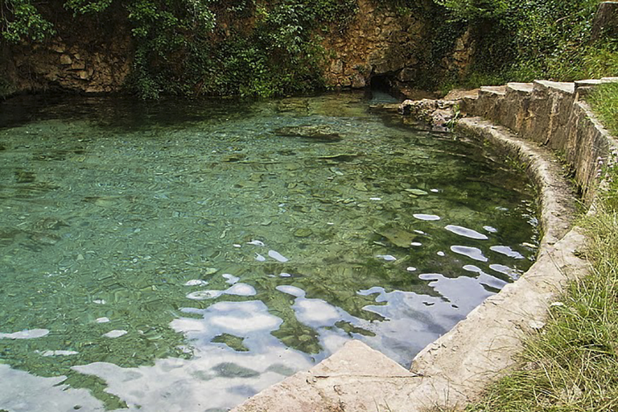 pantanos
