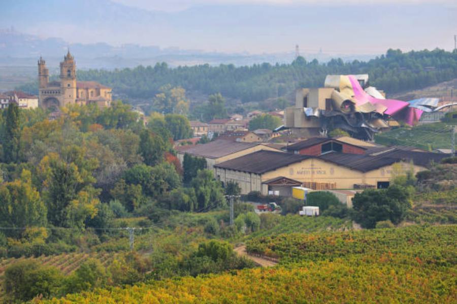 Las cinco mejores para visitar en La Rioja Alavesa