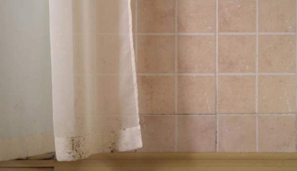 Cómo elimino el moho del baño