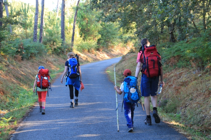 Camino de Santiago