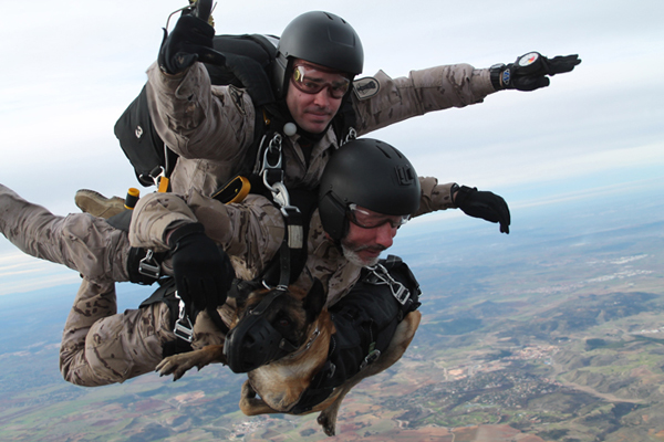 Primer salto manual de un militar español con un perro 1 Moncloa 3885 primer lanzamiento tandem con perros Moncloa