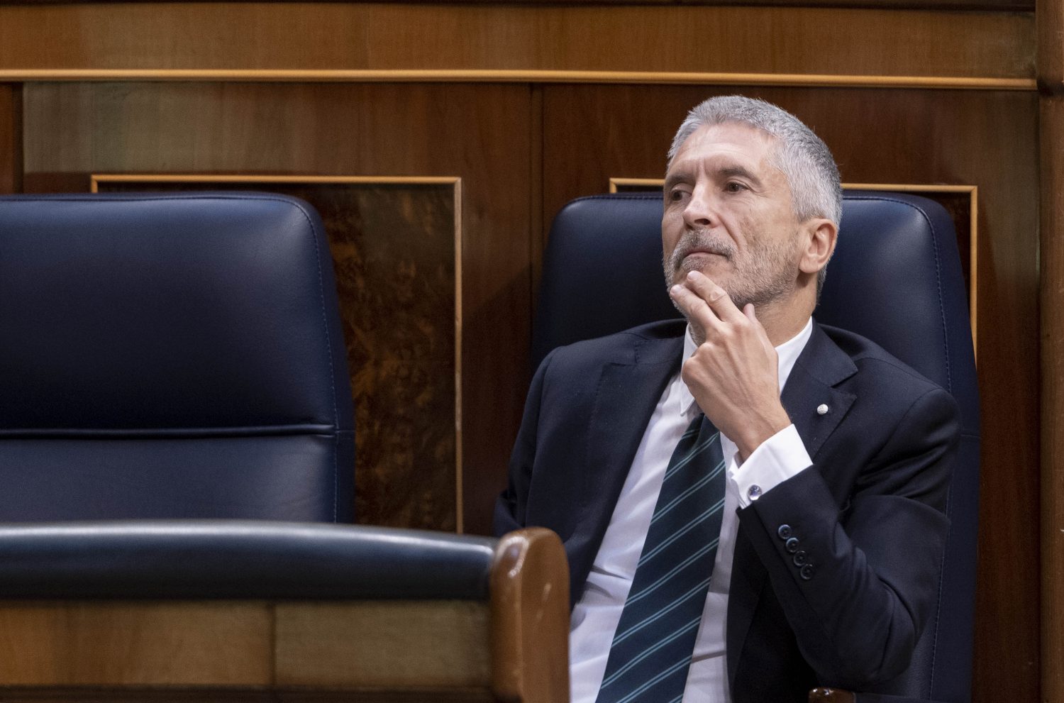 Fernando Grande-Marlaska