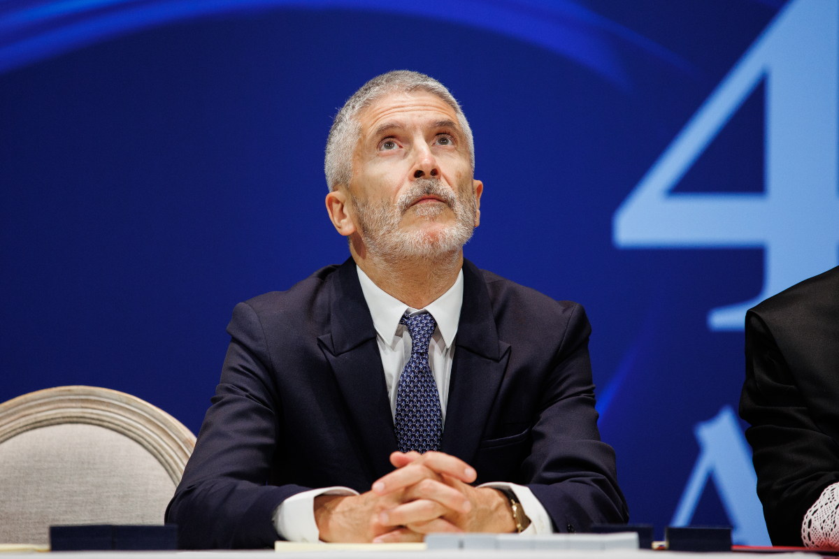 Fernando Grande-Marlaska