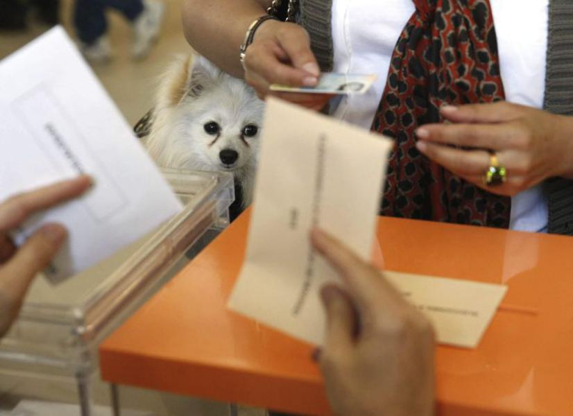 Ser mayor de 65 años o tener una discapacidad