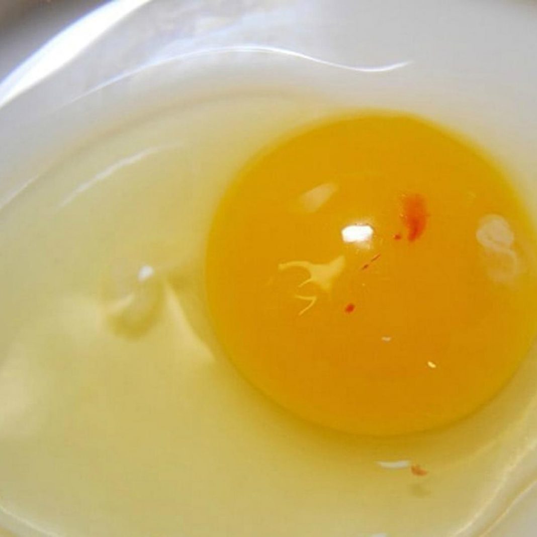 Los huevos pueden durar 3 semanas en la nevera