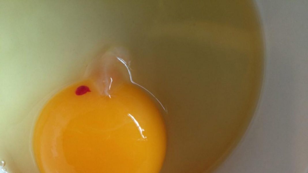 El huevo puede ser beneficioso para la salud
