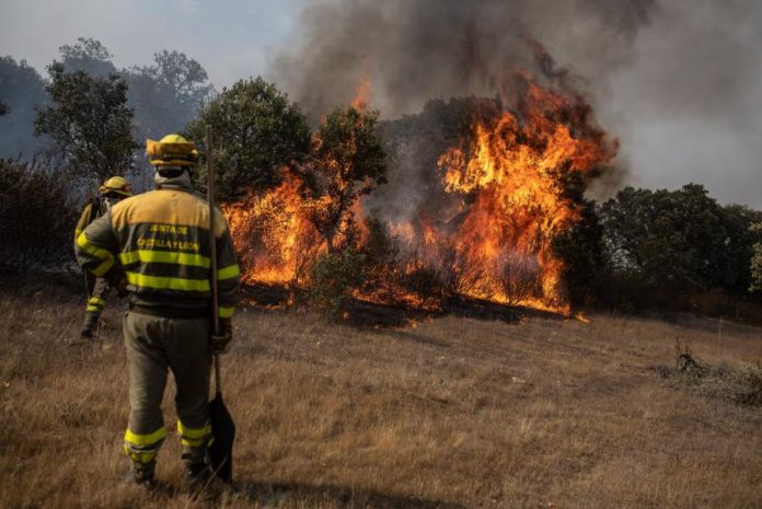 Incendios en la sierra de la Culebra