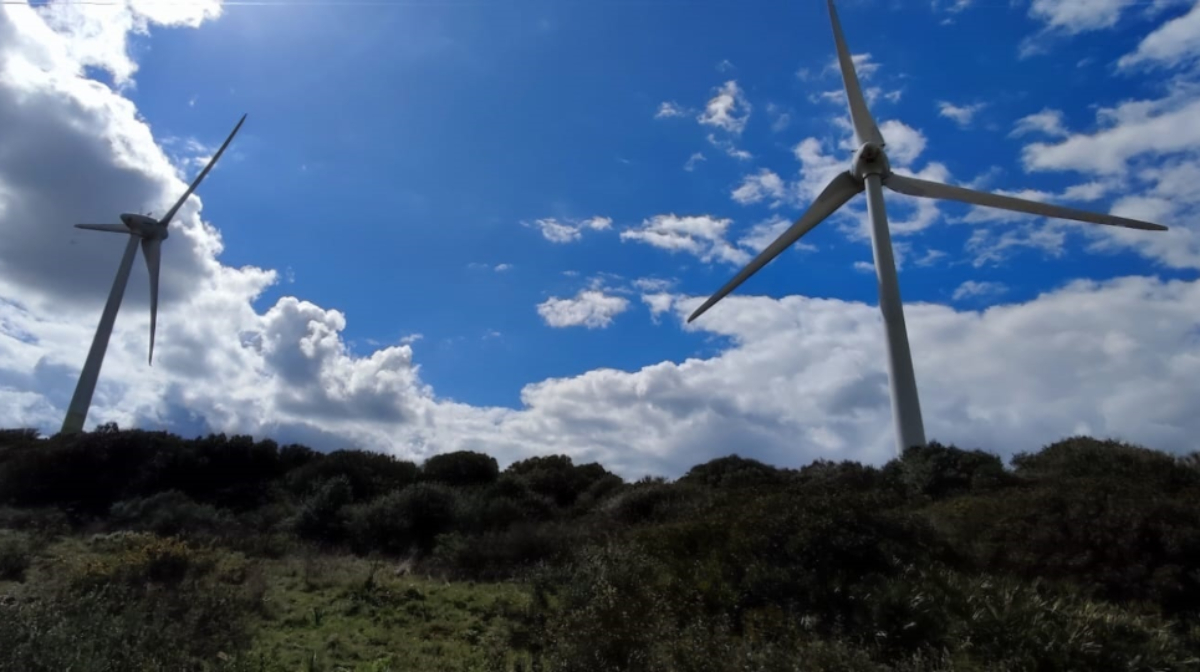 Molinos de viento