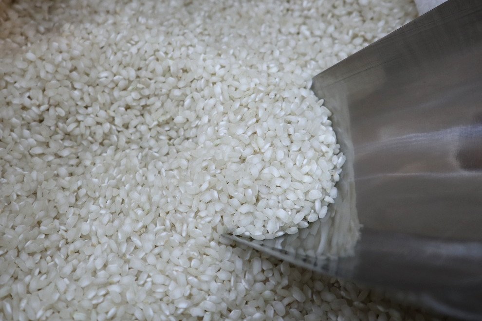 Arroz Sénia