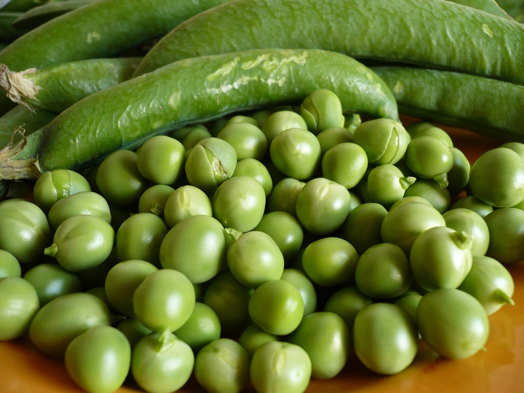 guisantes