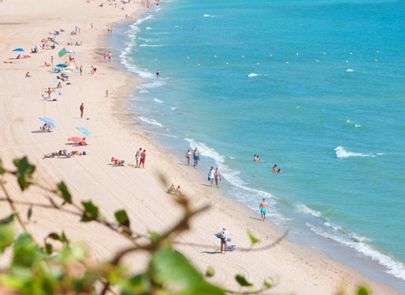 PLAYA DE GETARES (ALGECIRAS), UNA DE LAS QUE MÁS MEDUSA TIENE EN ESPAÑA