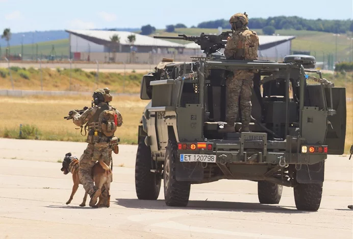 Ejército de tierra