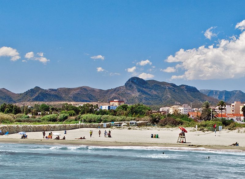 PLAYA DE VENECIA (GANDÍA), EN TOP-10 DE PLAYAS CON MÁS PRESENCIA DE MEDUSA EN ESPAÑA